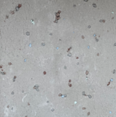 bari_speckled_Granite_6_X_6_Matte