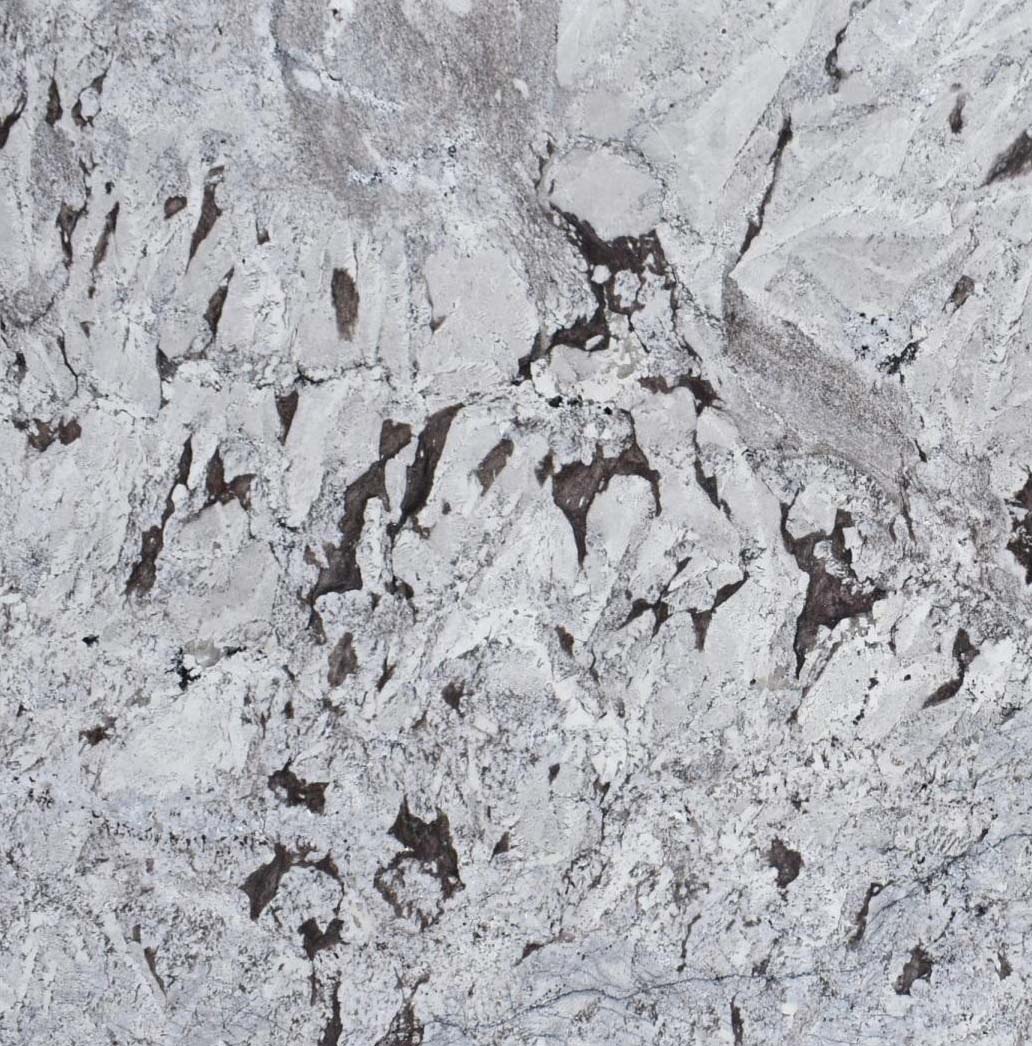 blanca_pittore_120_X_77_Polished