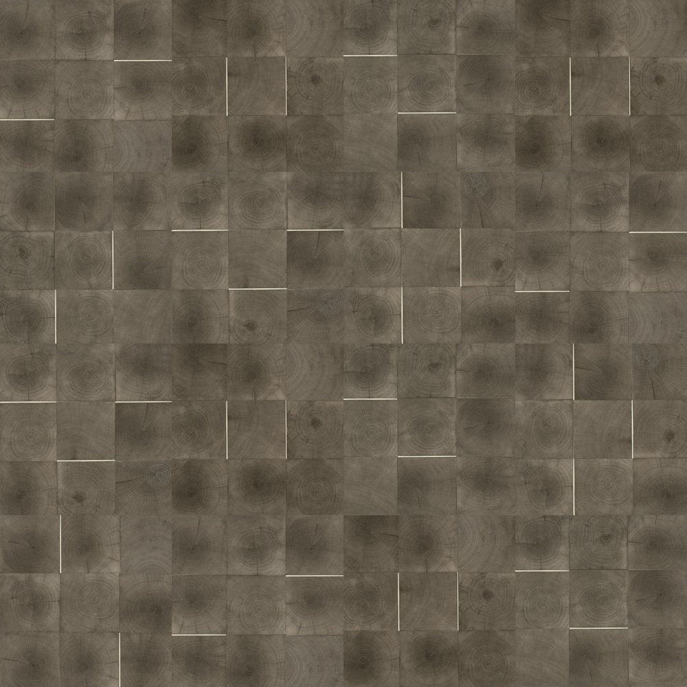 dance_collection_Ash_18_X_18_Natural