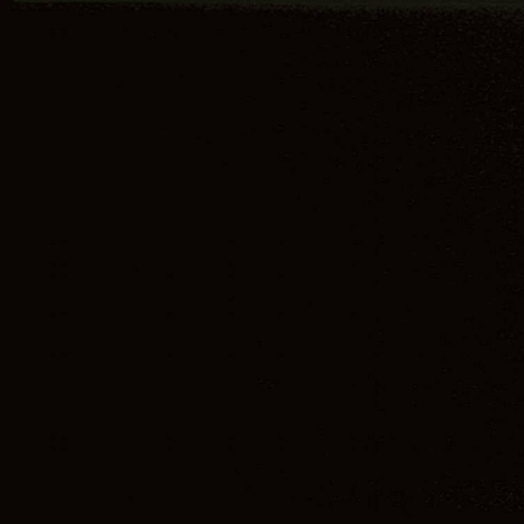 era_flat_Black_2_X_8_Glossy