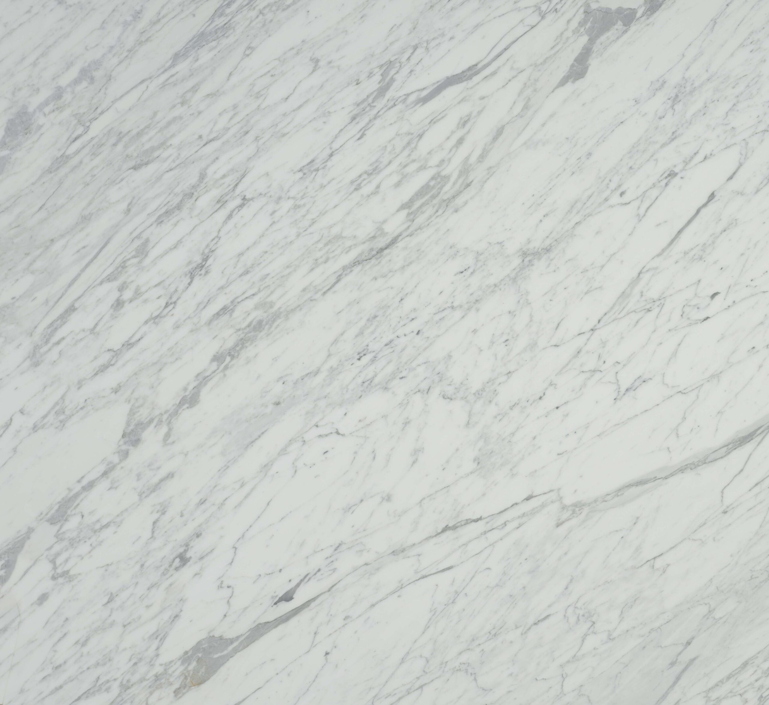 gia_bianca_102_X_77_Honed