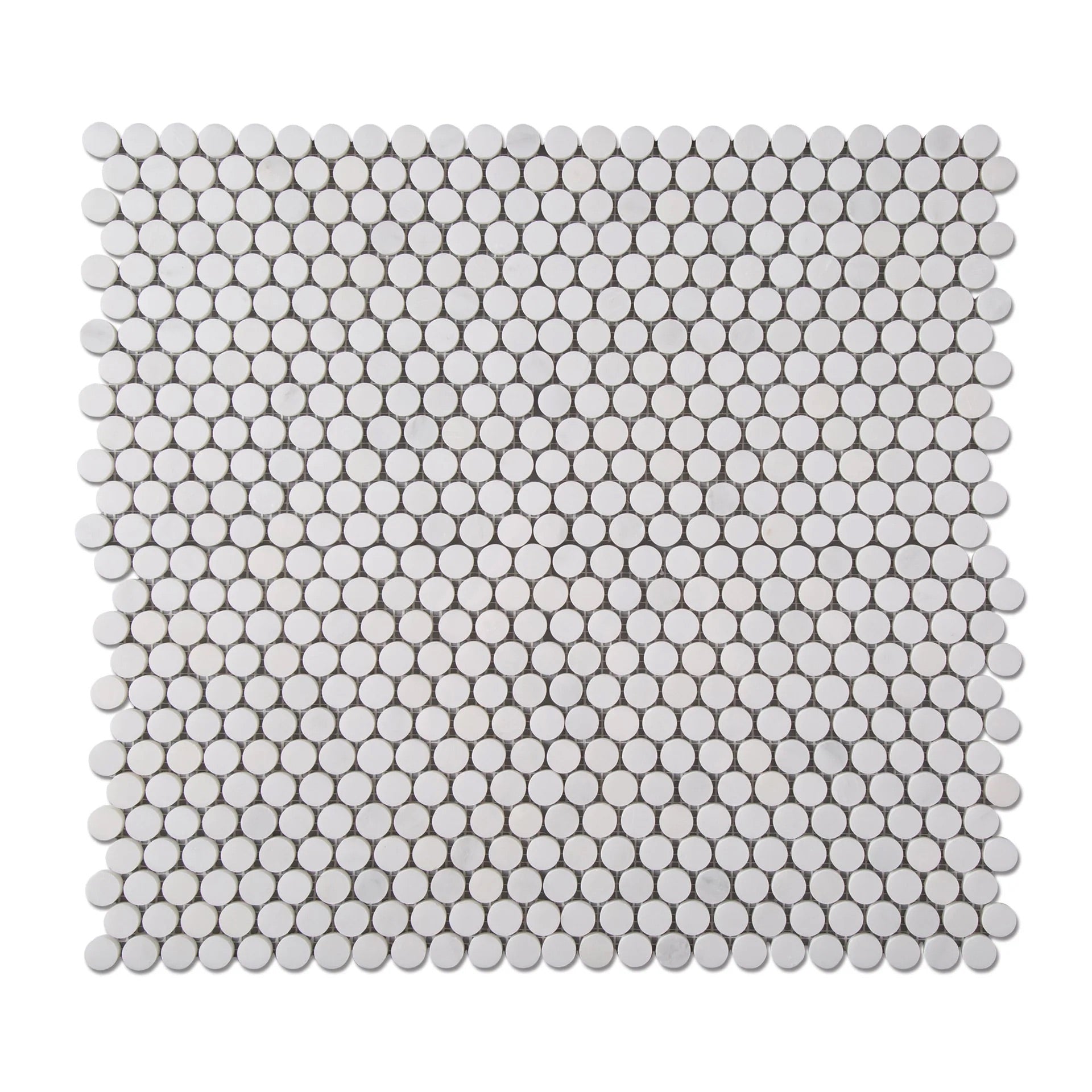 princess_bianca_penny_round_12_X_12_SHEET1PENNYROUND_Honed