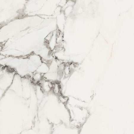 stately_pure_Arabescato_24_X_24_Natural