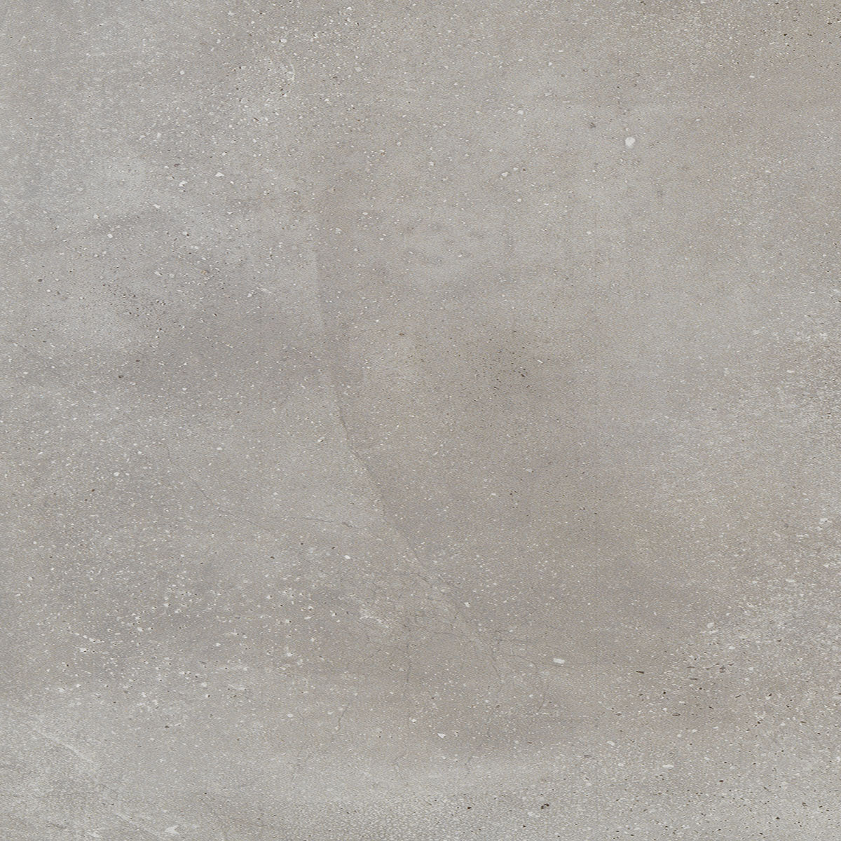 torrent_Ash_12_X_24_Natural