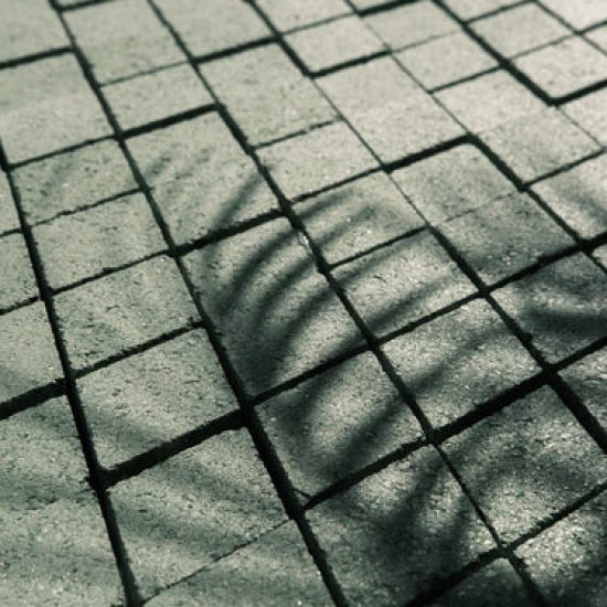 n_s_c_slider_1_19