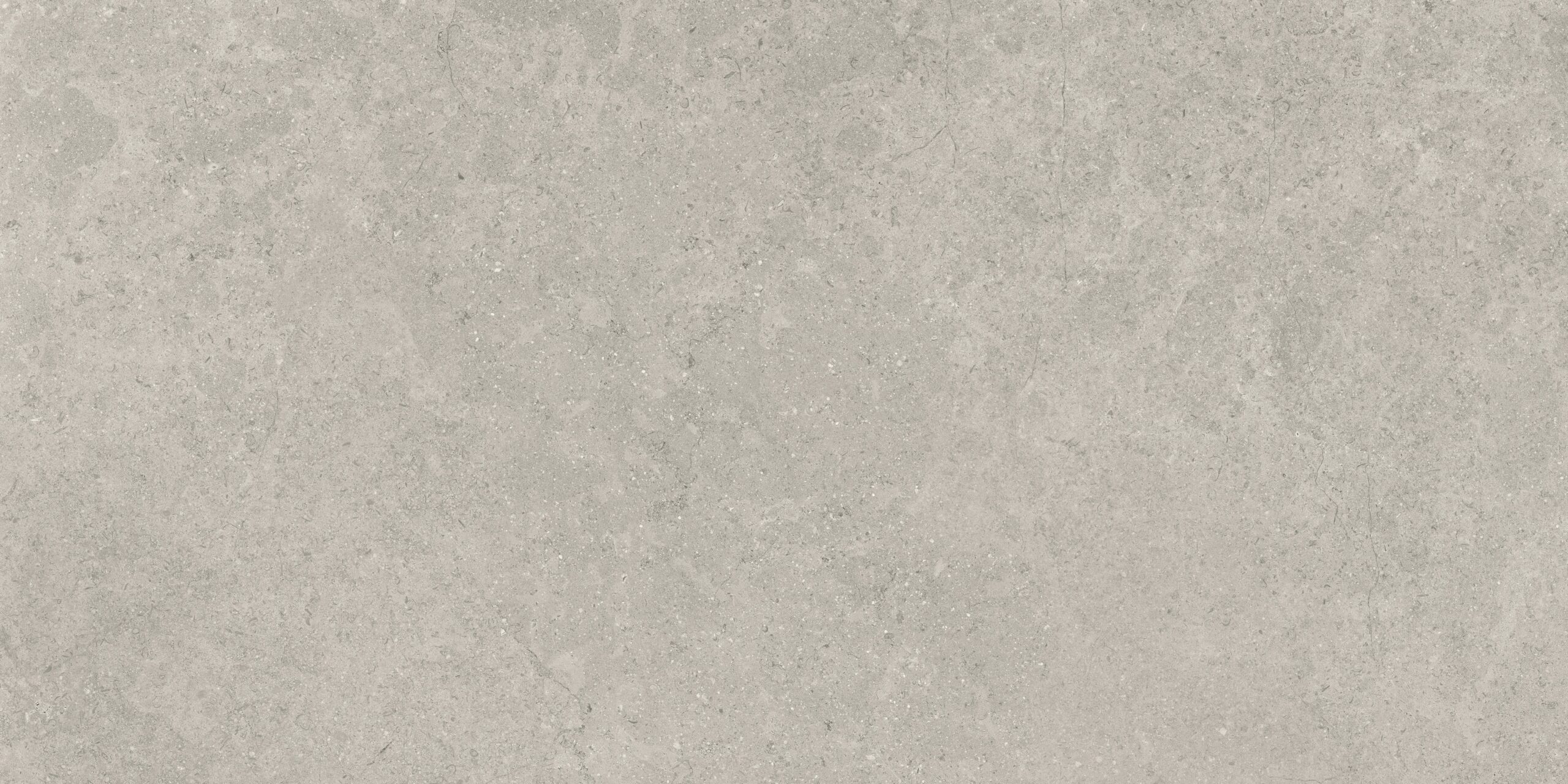 animo_piedra_Ash_12_X_24_Grip