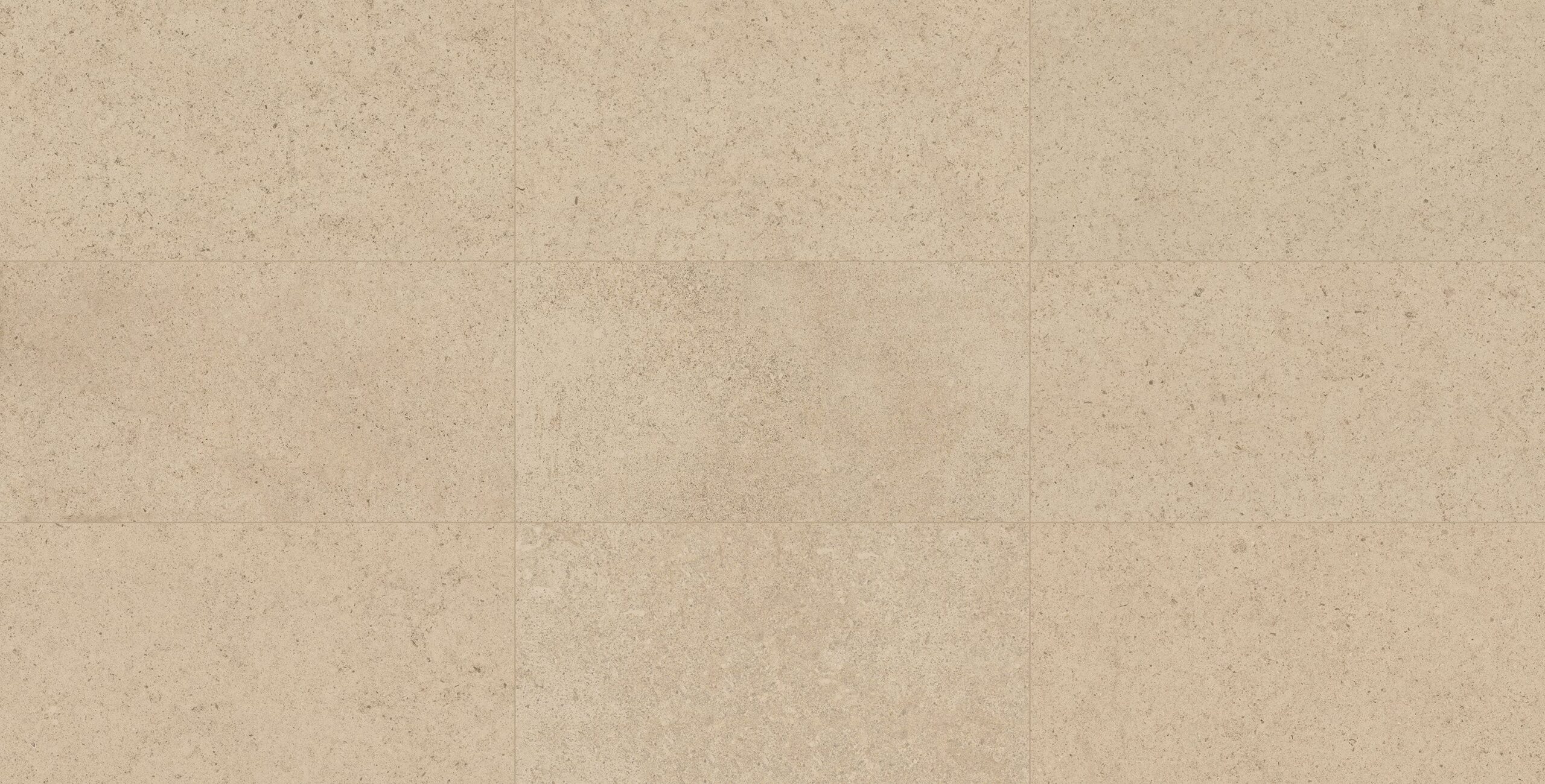 animo_tierra_Beige_12_X_24_Matte